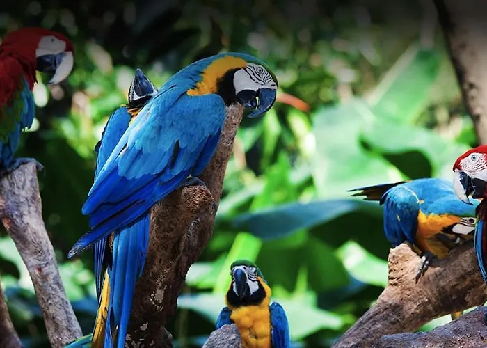 Lejlighed Icoden House&perfect For *