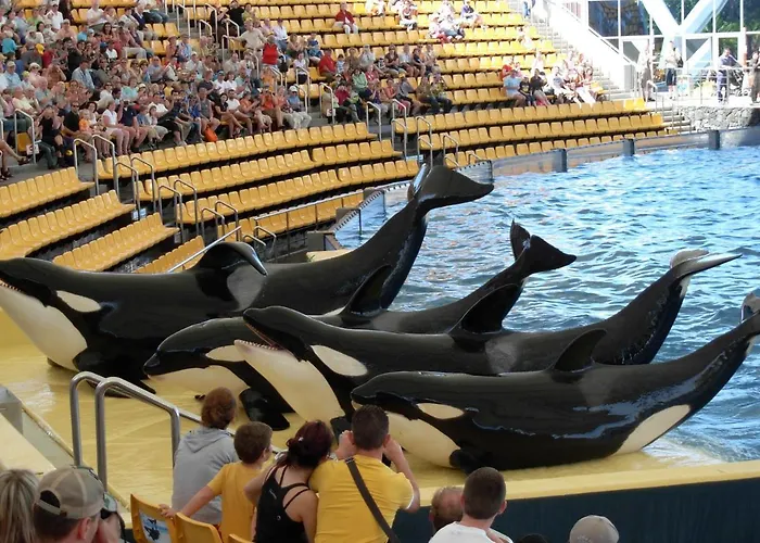 Icoden House & Perfect For Apartment