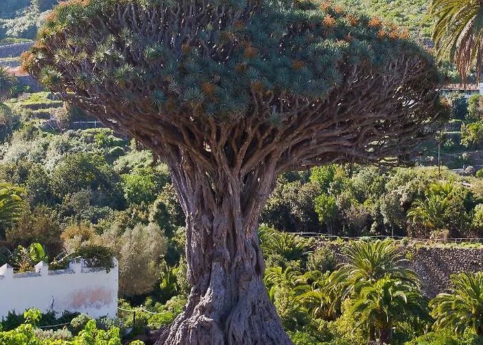 Apartment Icoden House & Perfect For