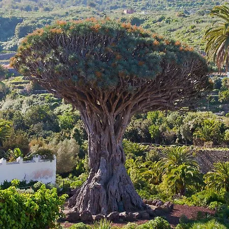 Appartamento Icoden House & Perfect For