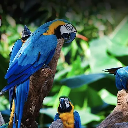 Appartamento Icoden House & Perfect For *